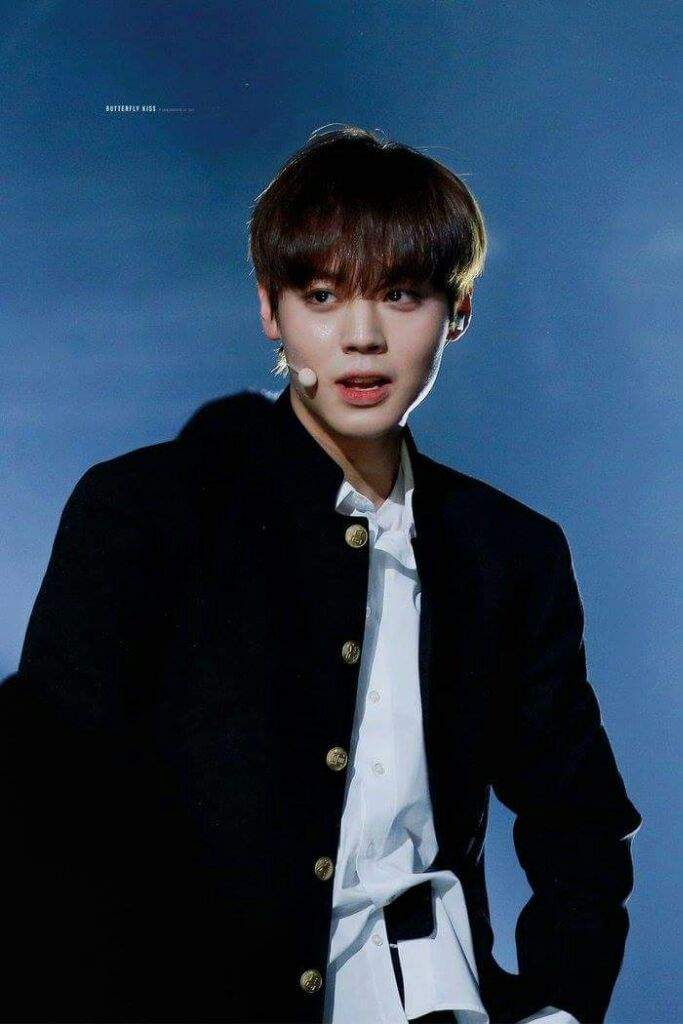 PARK JIHOON APPRECIATION POST ♡ | Produce 101 Boys Amino