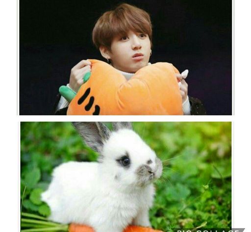 BTS MEMES!! pt.5 (SPECIAL: Jungkook like a bunny)👌 | K-Pop Amino