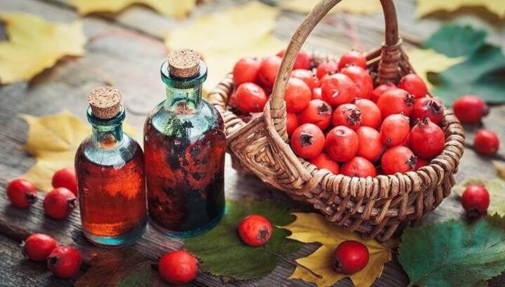 hawthorn-berry-tea-recipe-the-witches-circle-amino