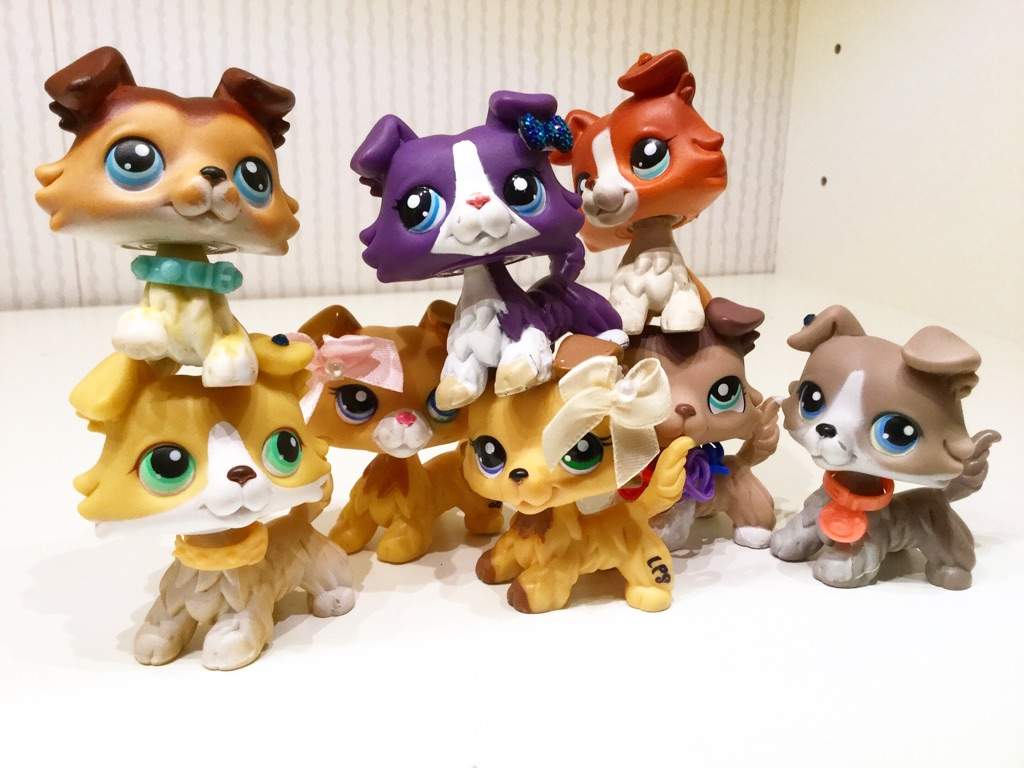 My Favorite Species Of LPS!~ ;3 | LPS Collector Amino Amino