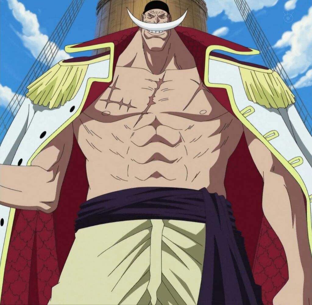El Marine Mas Fuerte De One Piece 20 personajes mas fuertes de one piece | Universal Amino® Amino