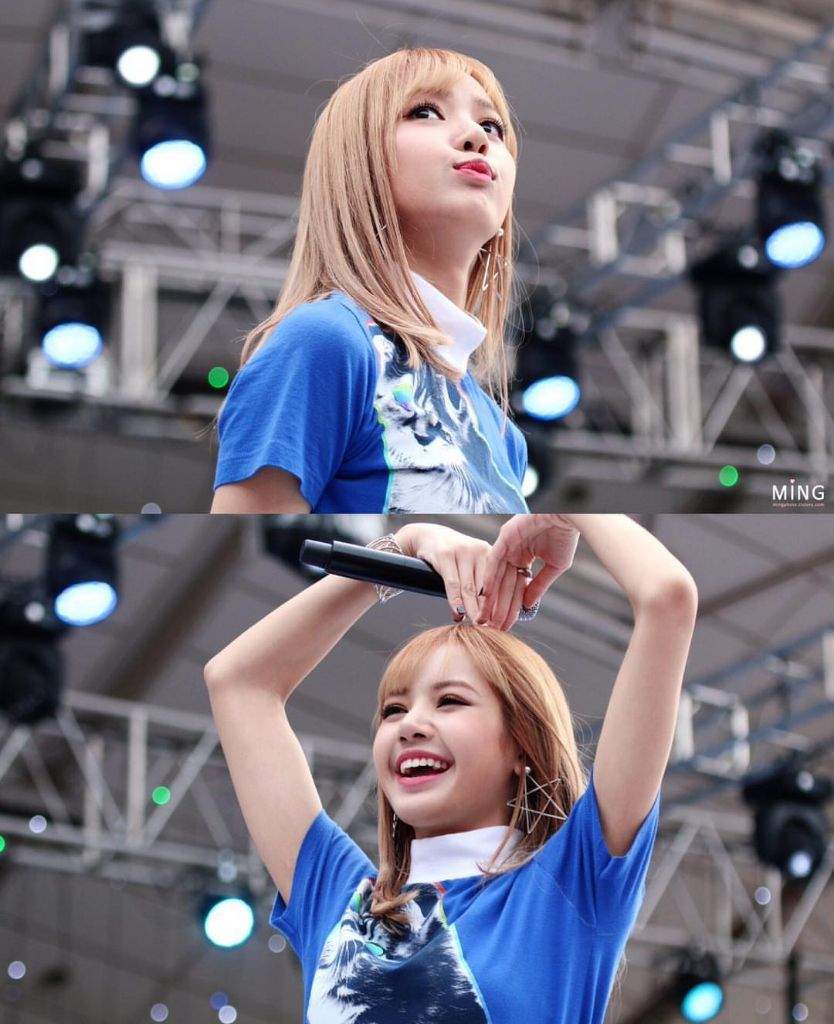 Blackpink Lisa Blink 블링크 Amino 