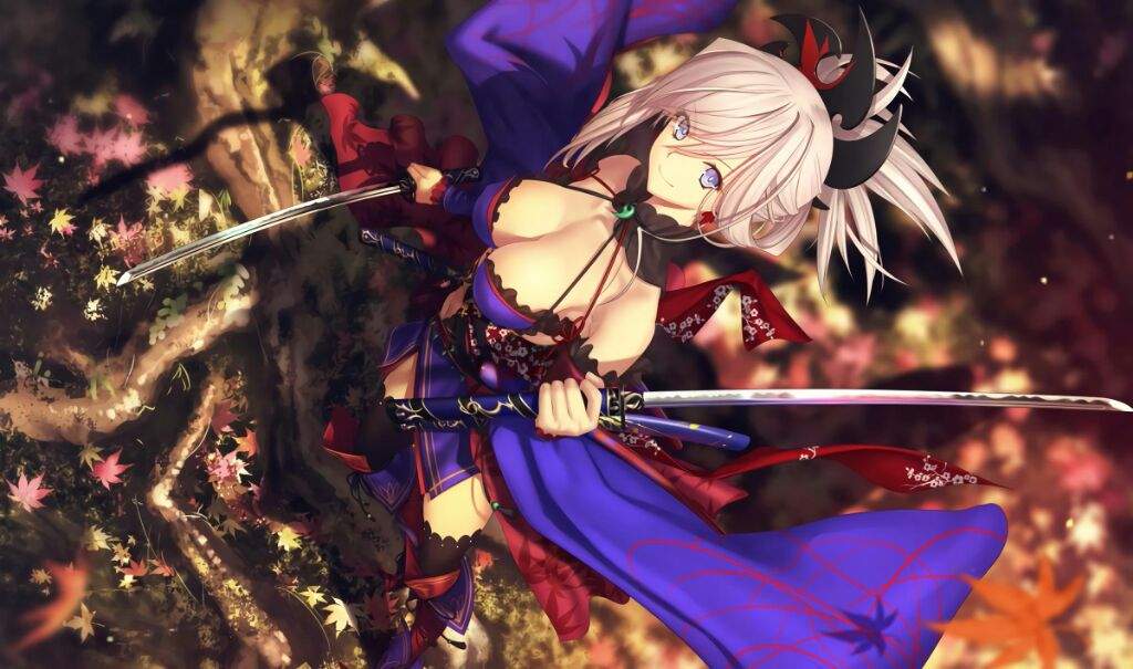 Miyamoto Musashi | Wiki | Fate/stay Night Amino