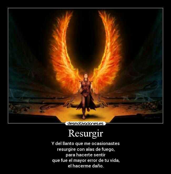 Frases fenix | •Anime• Amino