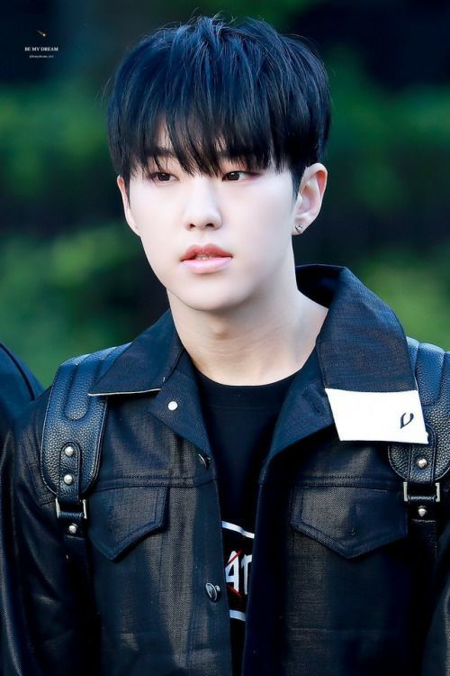 Hoshi | Wiki | Carat 캐럿 Amino