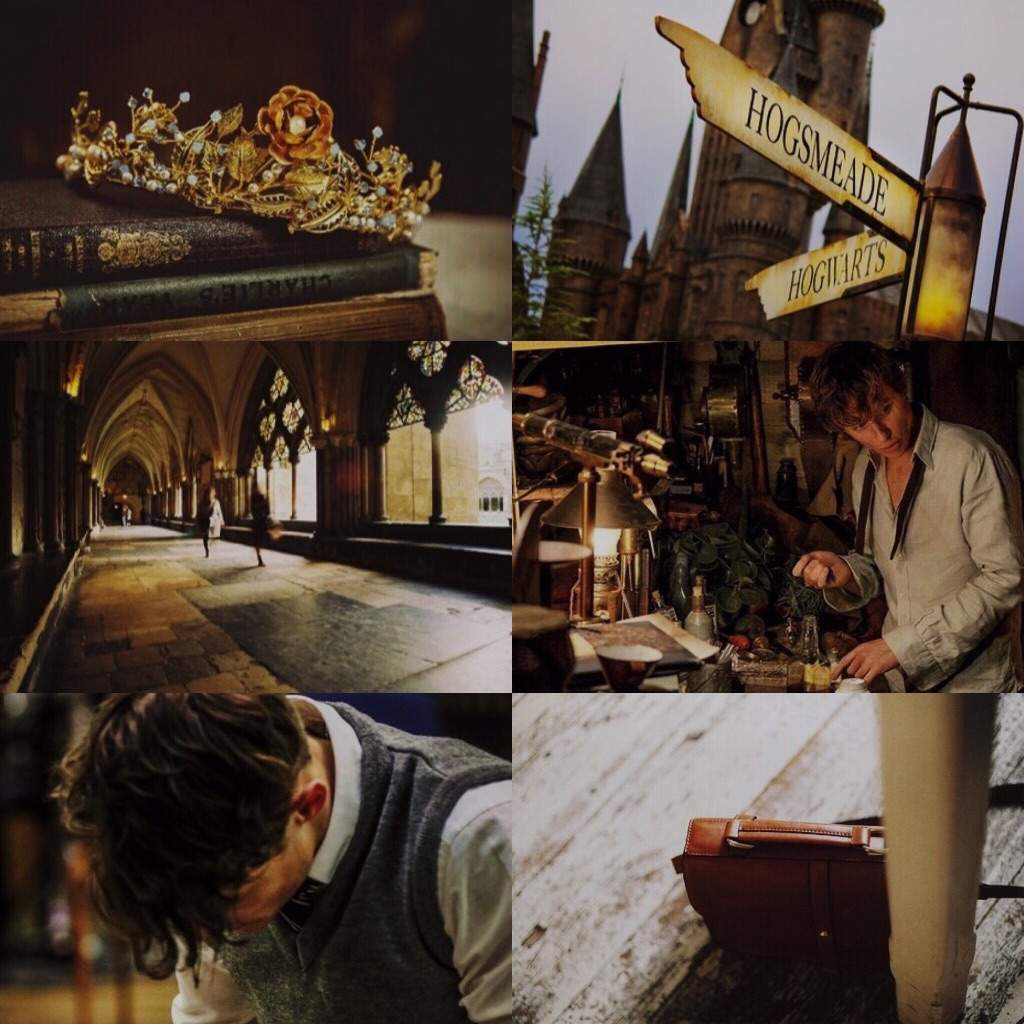 hufflepuff aesthetics collages collage newt scamander beasts relaxed fantastic watching because while making