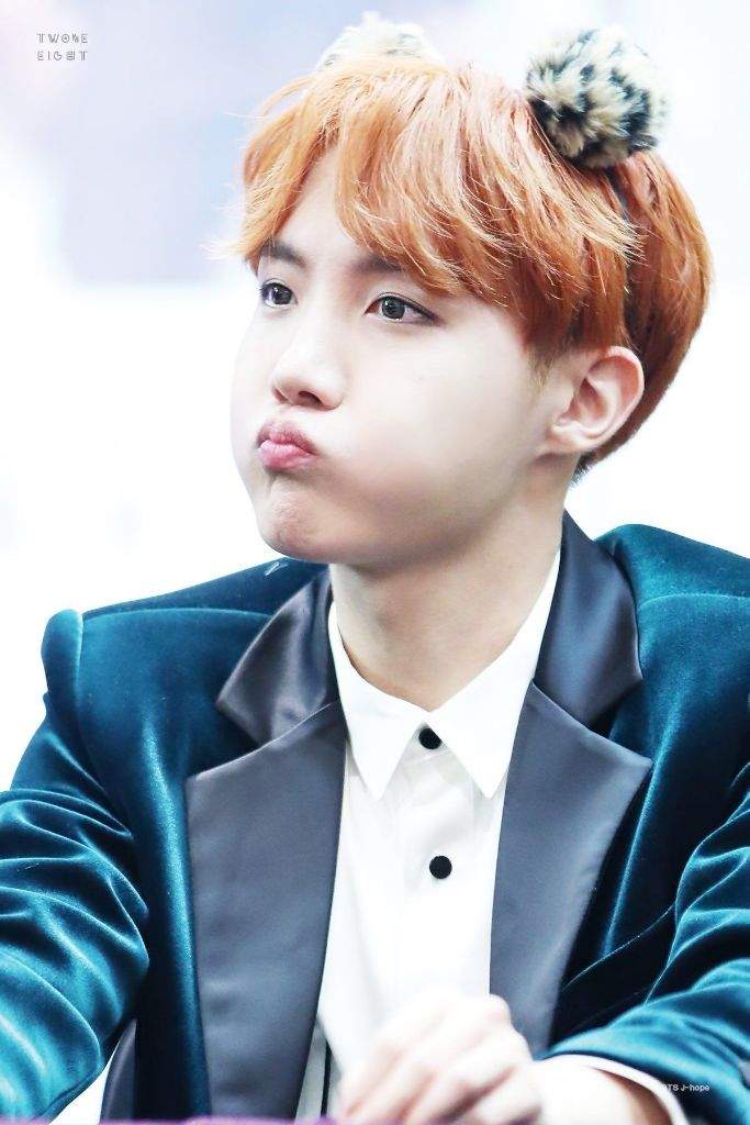  BTS  Squishy  Face Appreciation ARMY s Amino