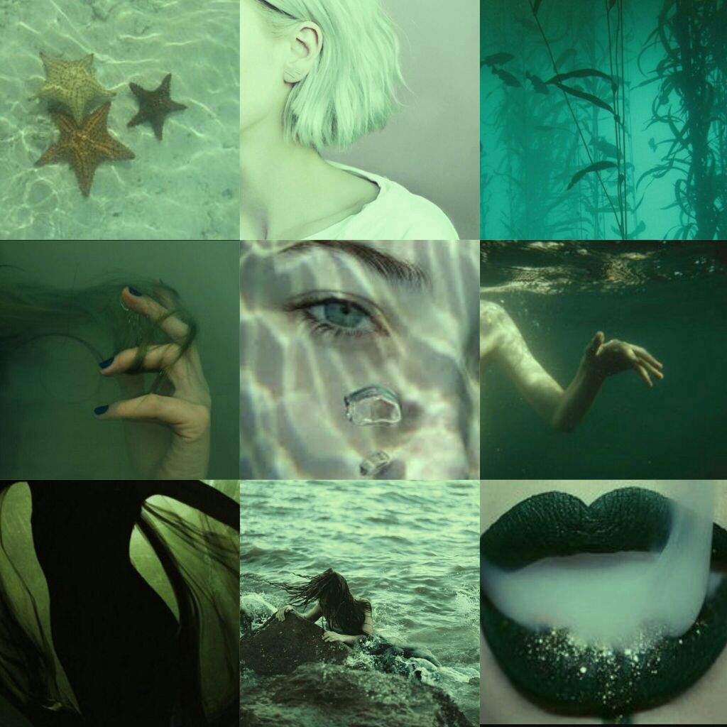 Paladin Mermaid Aesthetic for the soul | Voltron Amino