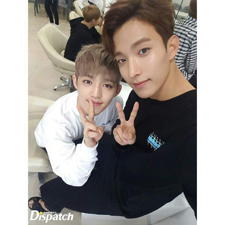 🌟DK + Seventeen~ Todos los ships!🌟 | SEVENTEEN Español Amino