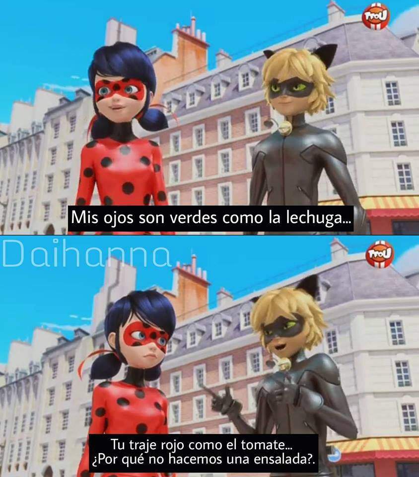 Memes de chat noir parte 10 •Miraculous Ladybug Español• Amino