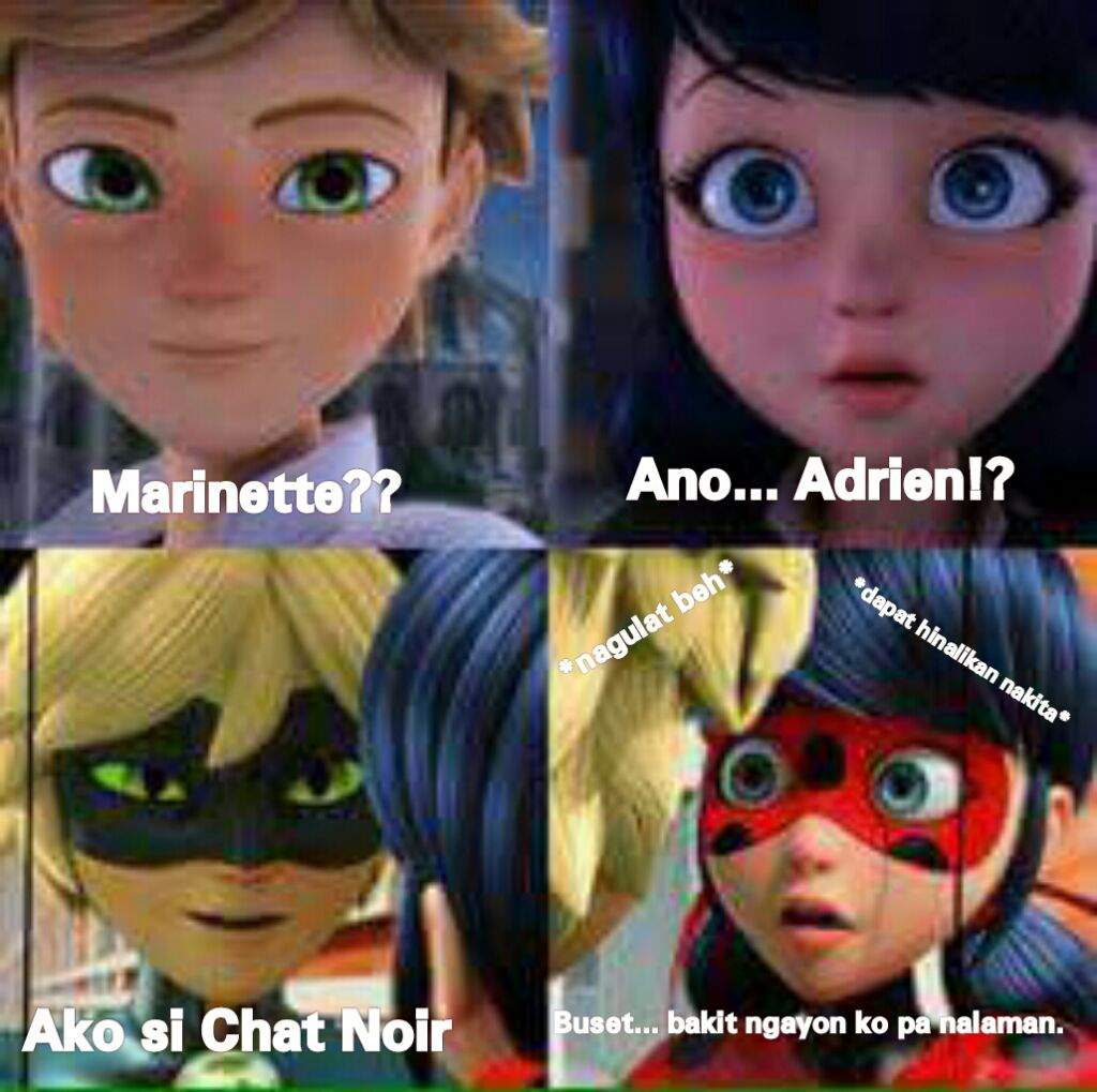 alog Memes Made By Me Miraculous Amino