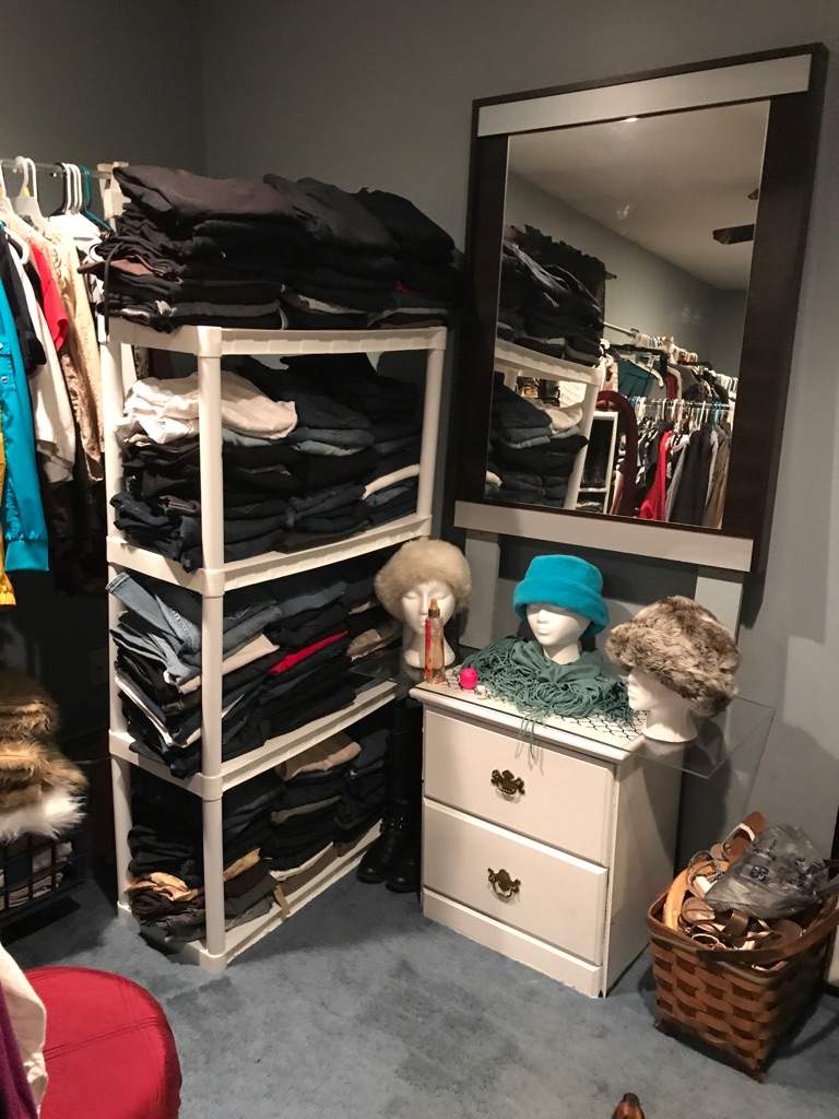 Turn A Spare Bedroom Into A Walk In Closet Home And Room