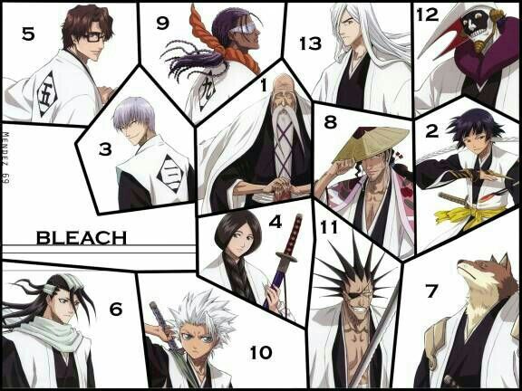 Gotei 13 | Wiki | Bleach Amino Oficial BR Amino