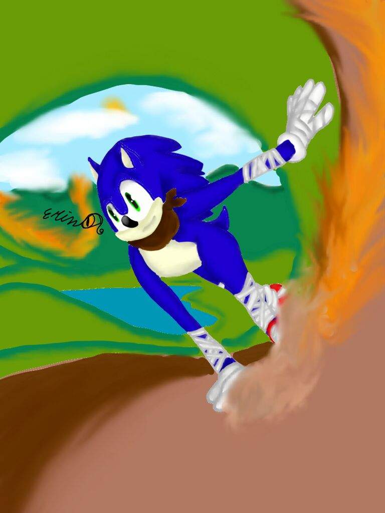 Sonic The Hedgehog | Wiki | Sonic Alternate Universe Amino