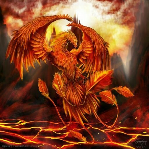 El fenix y Yo | ♥Amigos & Novios♥ Amino