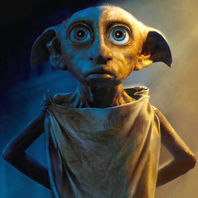 harry potter dobby game