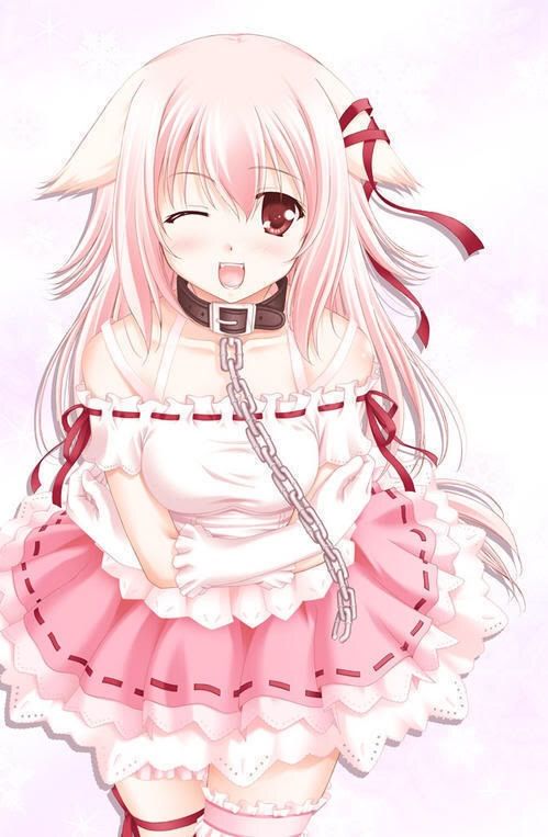 anime-pet-girls-anime-amino