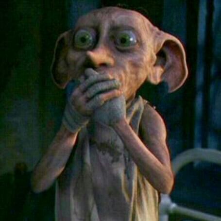 dobby 17