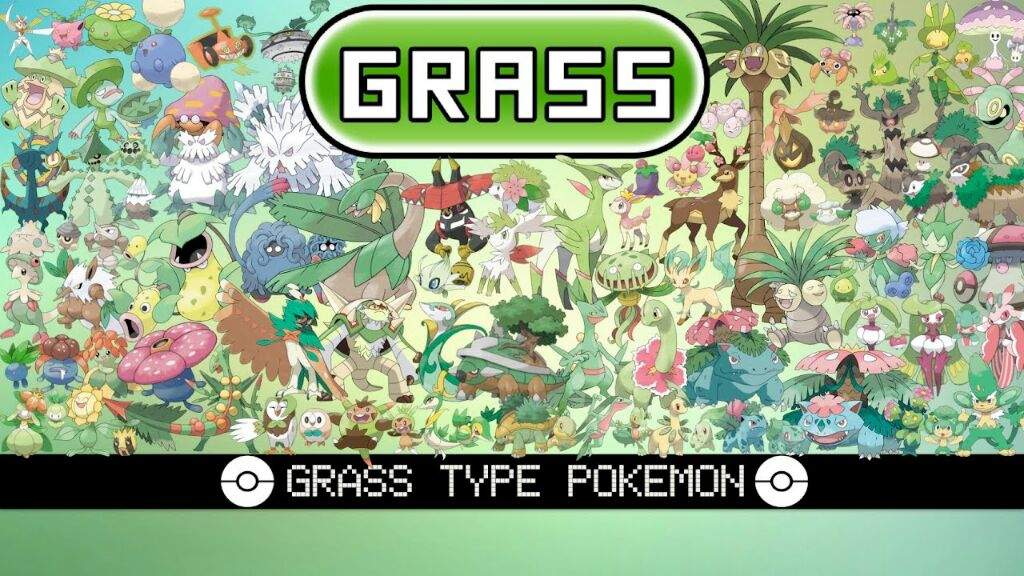 Grass Type Wiki Pokémon Amino 