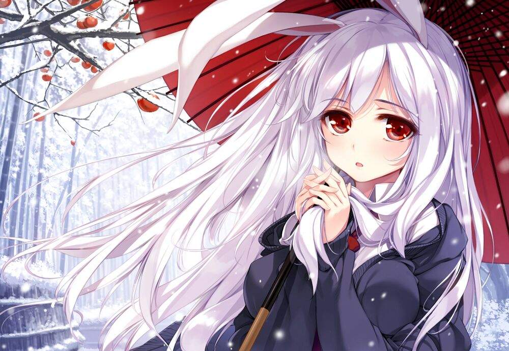 ke-ta | Wiki | Touhou Project Amino