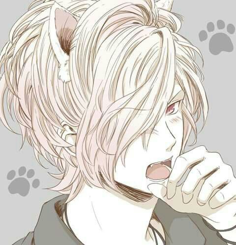 The Cats And Kittens | Diabolik Lovers! 💜 Amino