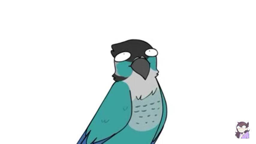 Ari (Jaiden's Bird) | Wiki | The Animation Squad Amino