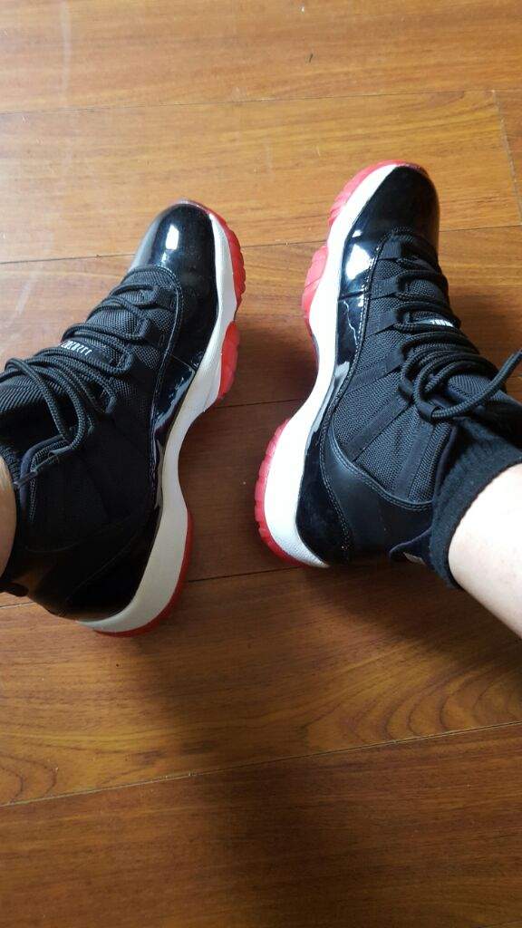 bred 11 with shorts