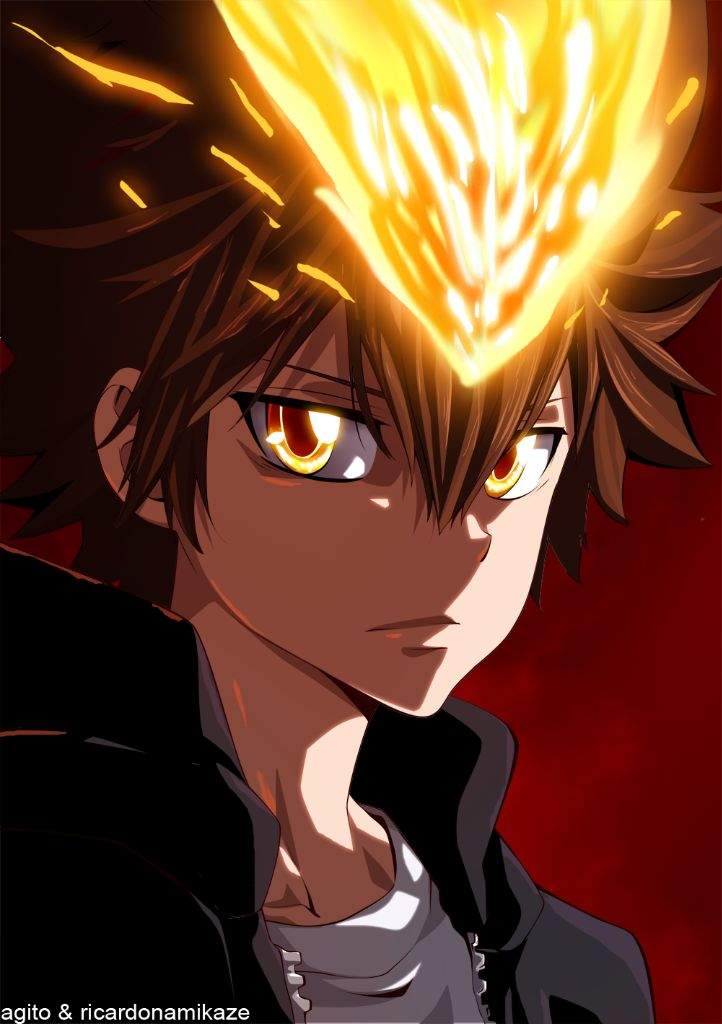 Deku vs tsuna (during varia arc) | Anime Amino