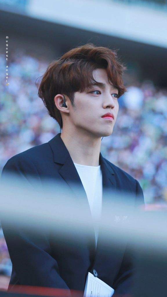 Dream Concert - Scoups | Carat 캐럿 Amino