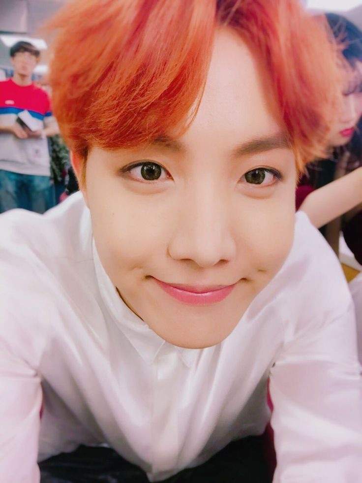 Hobi appreciation day | ARMY's Amino