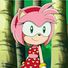 amino-Amy Rose :3-b0df12b8