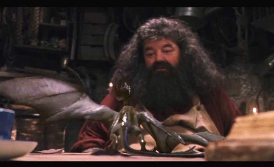 Rubeus Hagrid | Wiki | Harry Potter Amino