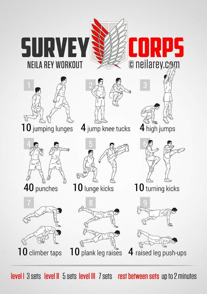 scout-regiment-daily-workout-attack-on-titan-amino