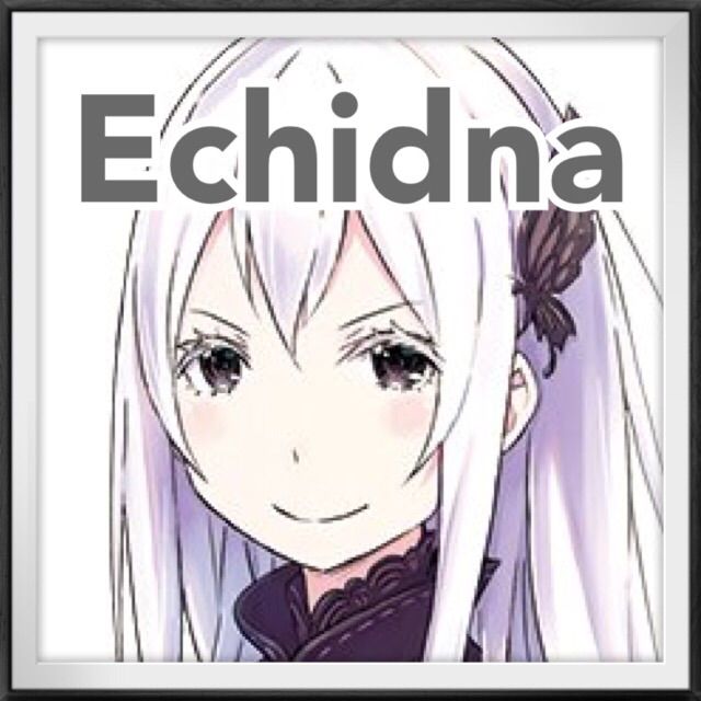 Echidna Wiki Re ゼロ Amino