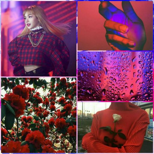 IU Aesthetics | Kpop Aesthetics! Amino