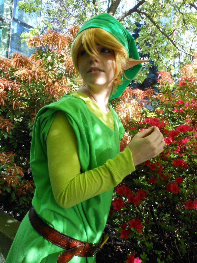 Wind Waker Link! | Cosplay Amino