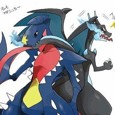 shodo garchomp