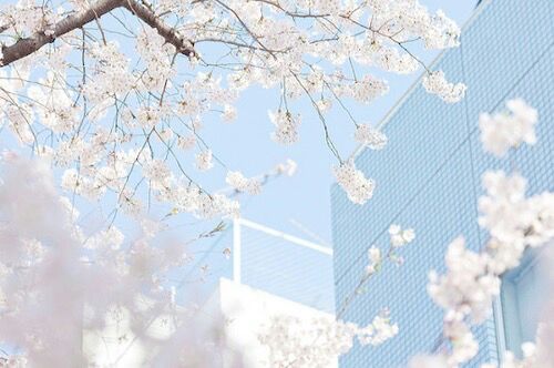 Light blue | Wiki | Korean Aesthetic Amino