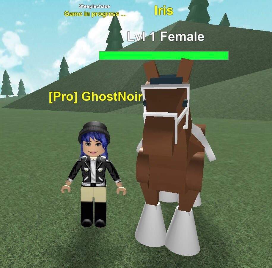 Horse Lovers Roblox Amino - horses in the back roblox