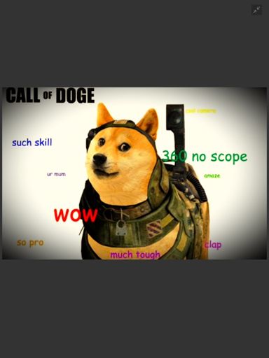 COD. Call of Doge. | Doge Nation Amino