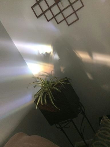 Are These Pictures Aesthetic K Pop Amino are-these-pictures-aesthetic-k-pop-amino