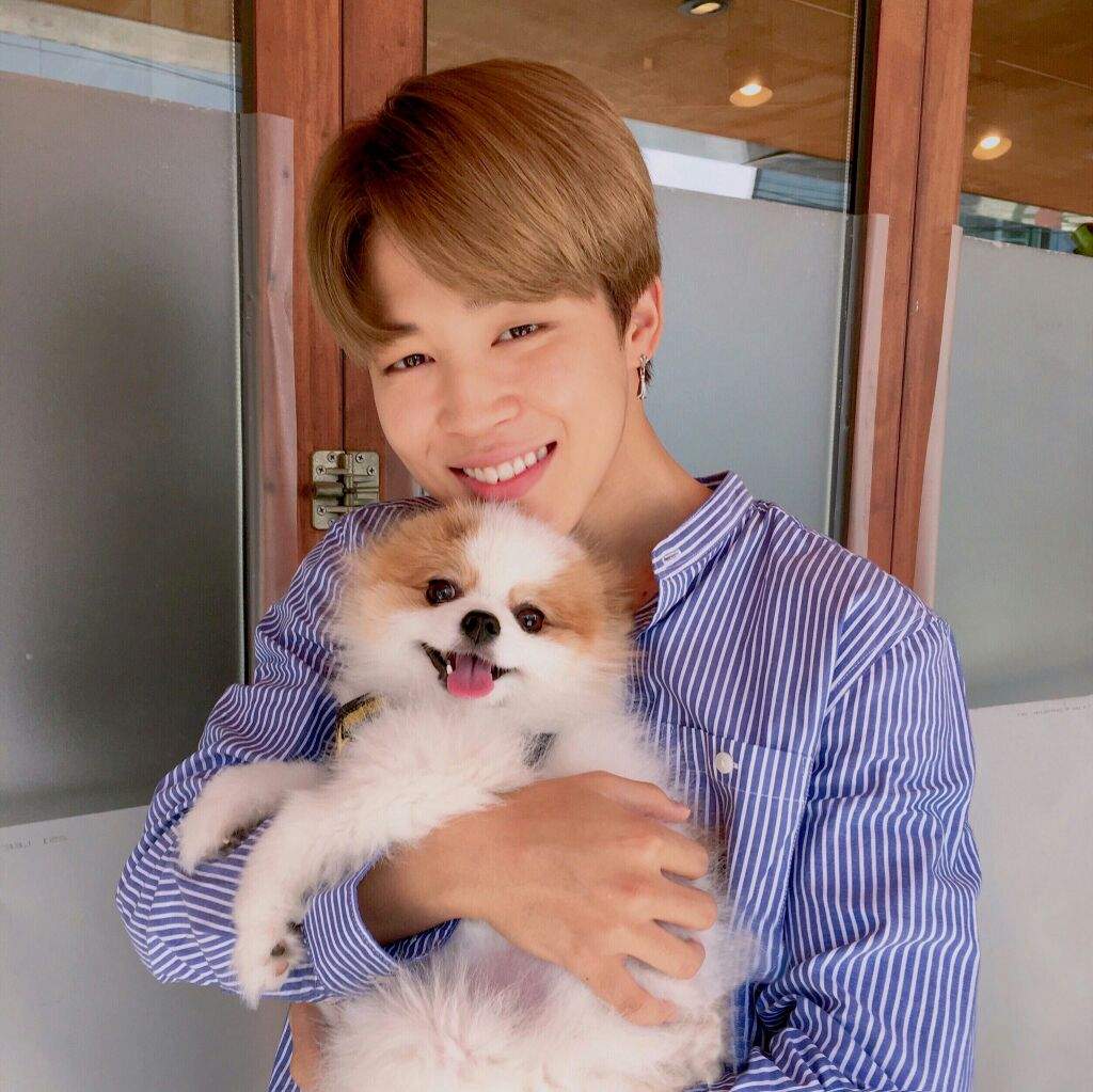 J-Hope dan anjing peliharaannya