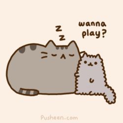 Pusheen! | Stormy And Pip Amino Amino