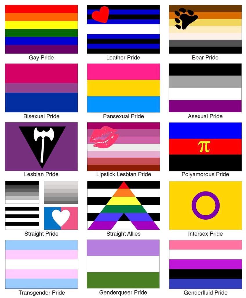 Pride Flags | Wiki | LGBT+ Amino