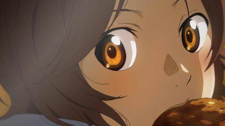 Shigatsu wa kimi no uso Wiki •Anime• Amino
