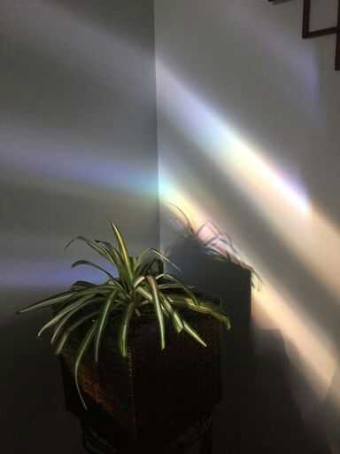Are These Pictures Aesthetic K Pop Amino are-these-pictures-aesthetic-k-pop-amino