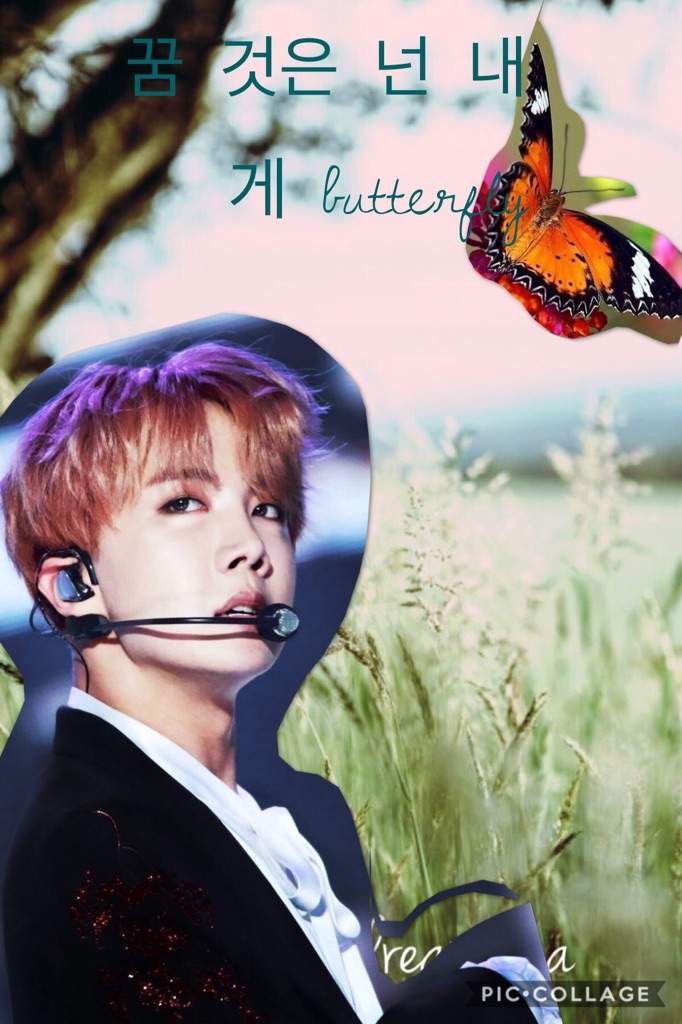 BTS Butterfly Wallpaper