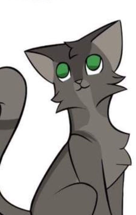 Firestar And Graystripe | Warriors Amino