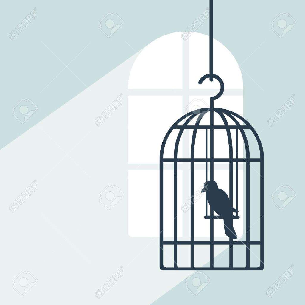 A Bird In A Cage Anime Amino