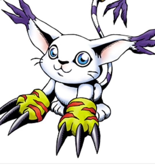 Gatomon And Black Gatomon | Digimon Amino